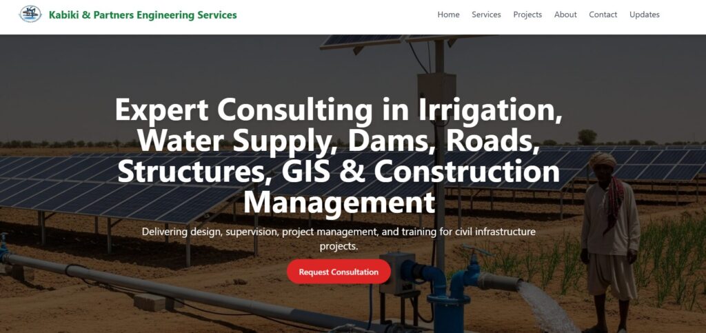 Kabiki consulting firm in Malawi