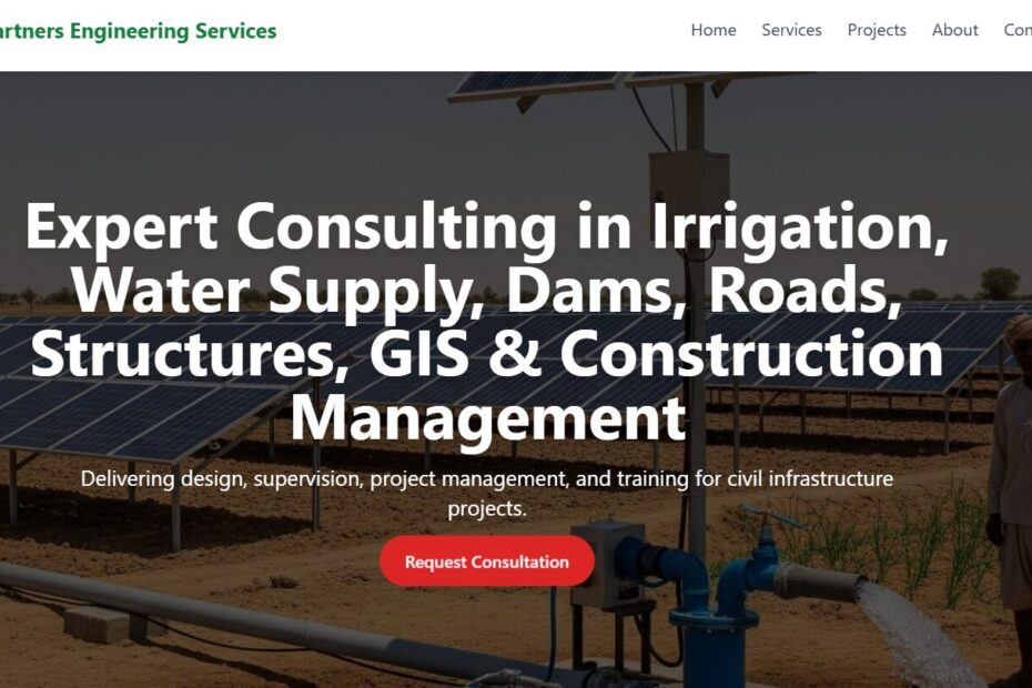 Kabiki consulting firm